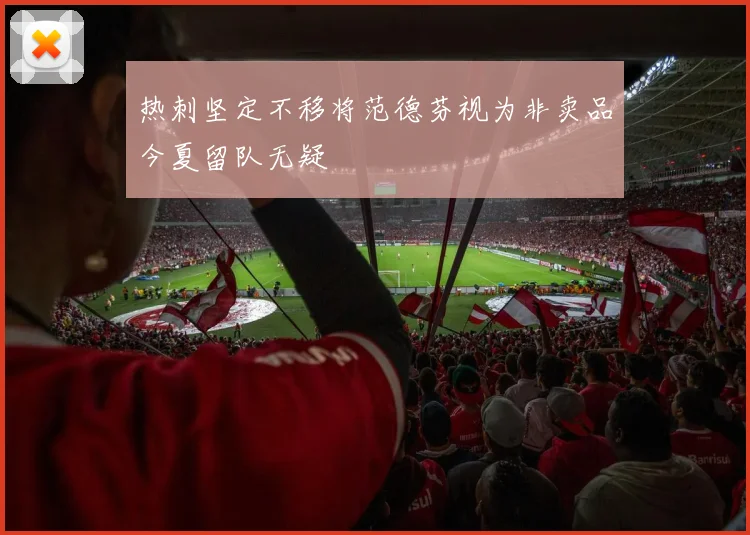 热刺坚定不移将范德芬视为非卖品今夏留队无疑